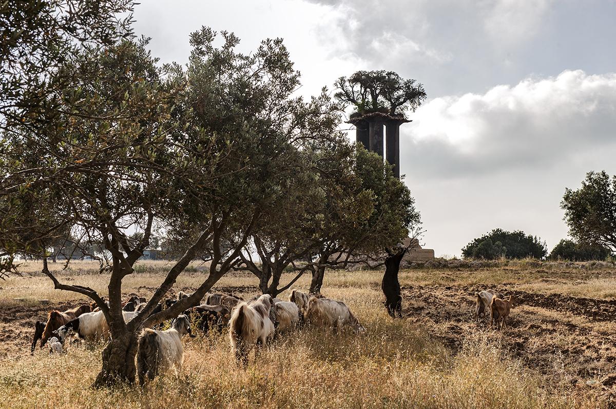 Ramat Rachel Resort Jerusalem Eksteriør billede